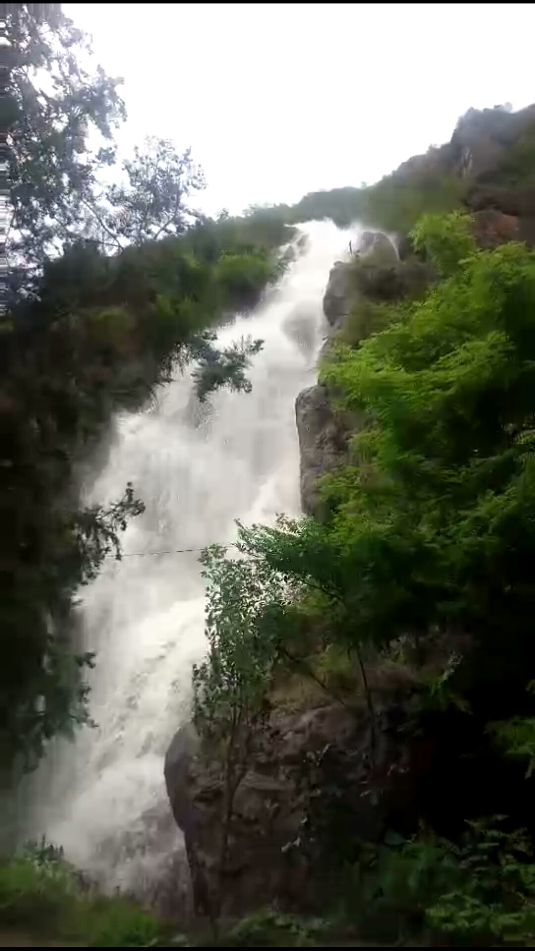 熊猫体育公司:新西游记4在哪看 新西游记第四季最新一期介绍(图1) 熊猫体育