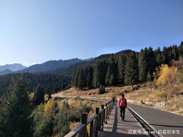 “熊猫体育公司”“飞鲨”的一个“小行动”,预示着中国舰载机攻击距离大大提升(图2) 熊猫体育