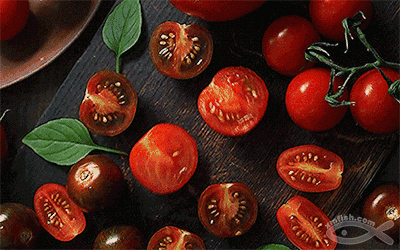 熊猫体育首页_宫崎骏动画《龙猫》“寒露”海报曝光 去见龙猫吧(图2) 熊猫体育公司