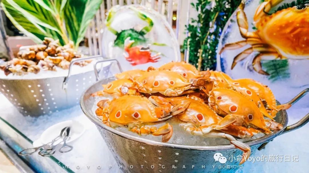 “熊猫体育公司”陈楚河刘秀薇亲密私照曝光 黄金单身汉刘秀薇背景资料(图1) 熊猫体育首页