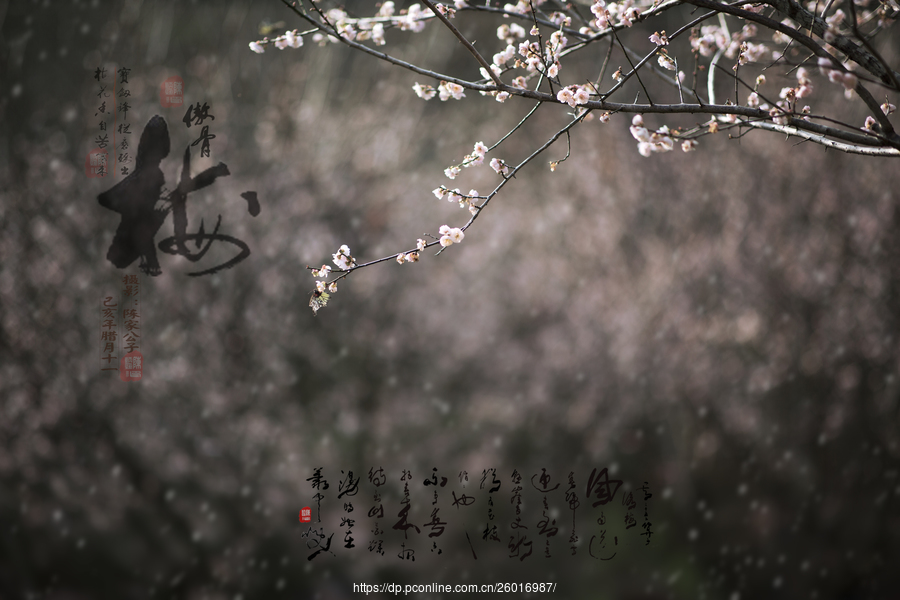 “熊猫体育首页”食戟之灵漫画第265话图文情报 新反派伸出毒手(图3) 熊猫体育首页