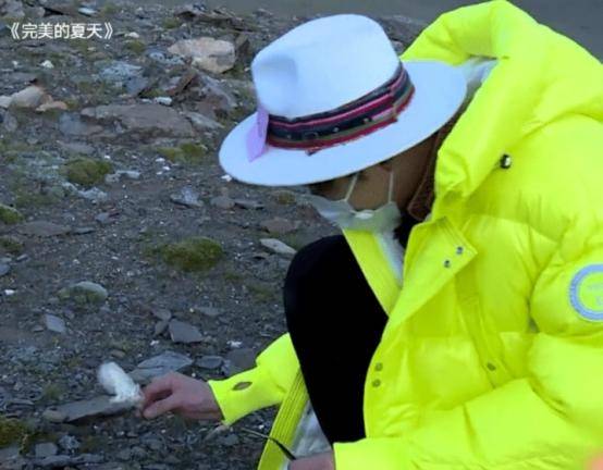 魔都卫视无底线!极限挑战刘宇宁采摘二级植物!替节目组背了黑锅!:熊猫体育首页(图5)
魔都卫视无底线!极限挑战刘宇宁采摘二级植物!替节目组背了黑锅!:熊猫体育首页(图5)