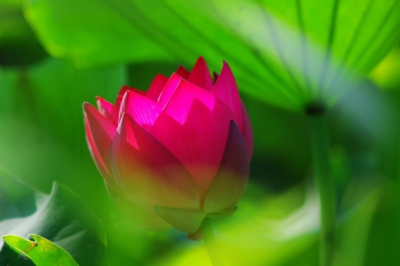 《上新了故宫》每周什么时候更新?在哪个台播出?【熊猫体育】(图1) 熊猫体育公司