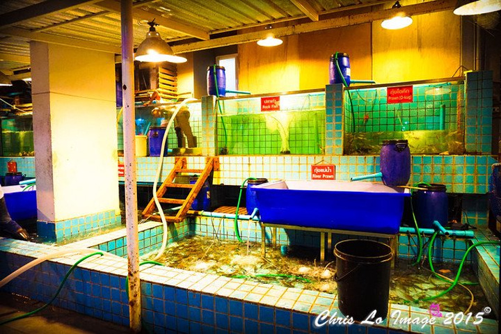 ‘熊猫体育’加拿大驻华大使再表态 冒下台风险反对向美引渡孟晚舟(图1) 熊猫体育公司