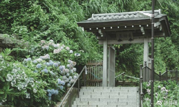 *
新媒:中国播放系列抗美援朝纪录片 网民纷纷留言赞好“熊猫体育公司”(图3) 熊猫体育首页