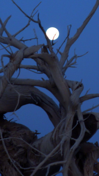 人民日报警告美国:信用破产是最大的破产|熊猫体育首页(图1) 熊猫体育首页