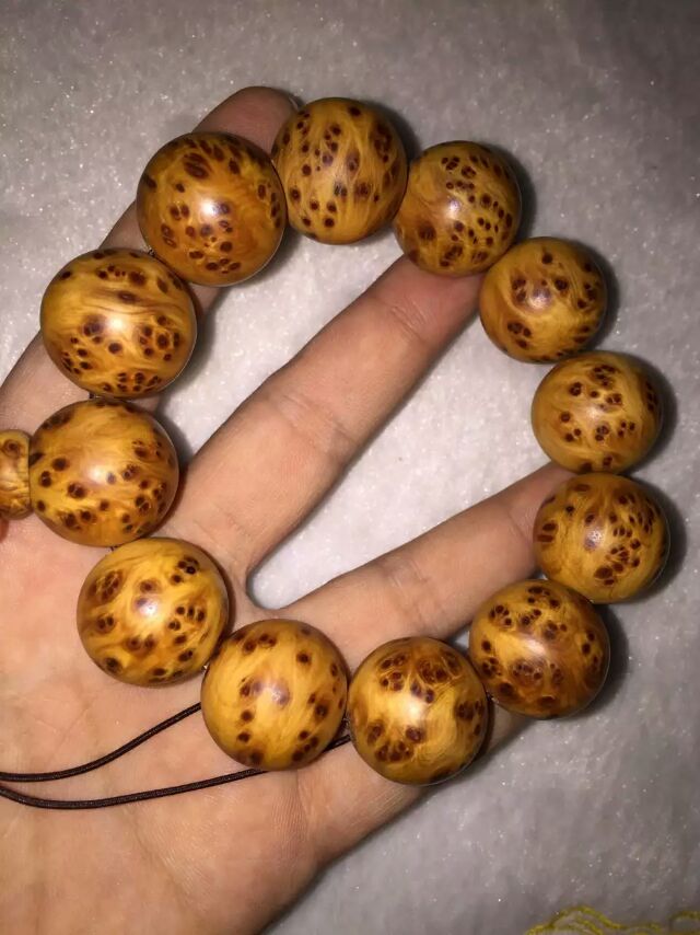 明日之子11强名单 明日之子13进11结果揭晓_熊猫体育(图2) 熊猫体育公司