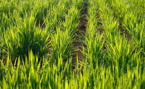 熊猫体育公司_遭加沙火箭弹袭击nbsp;以色列总理言战(图2) 熊猫体育首页