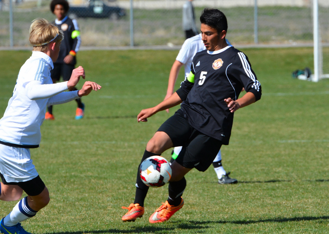 熊猫体育|我想和你唱2杨千嬅《可惜我是水瓶座》视频 杨千嬅港式情歌(图1) 熊猫体育首页