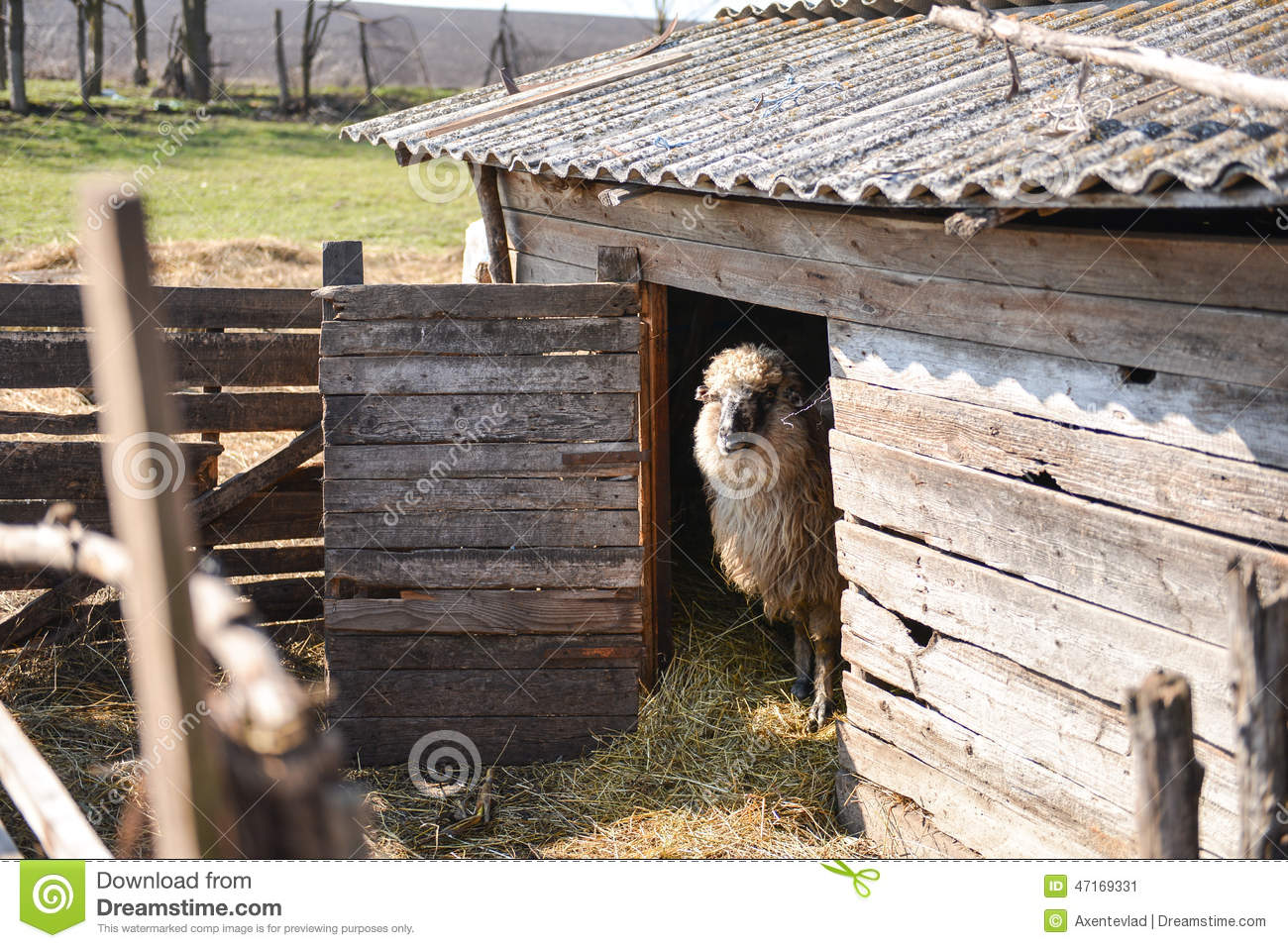 ‘熊猫体育’环球时报社评:新航母不会改变中国战略防御的基因(图1) 熊猫体育首页