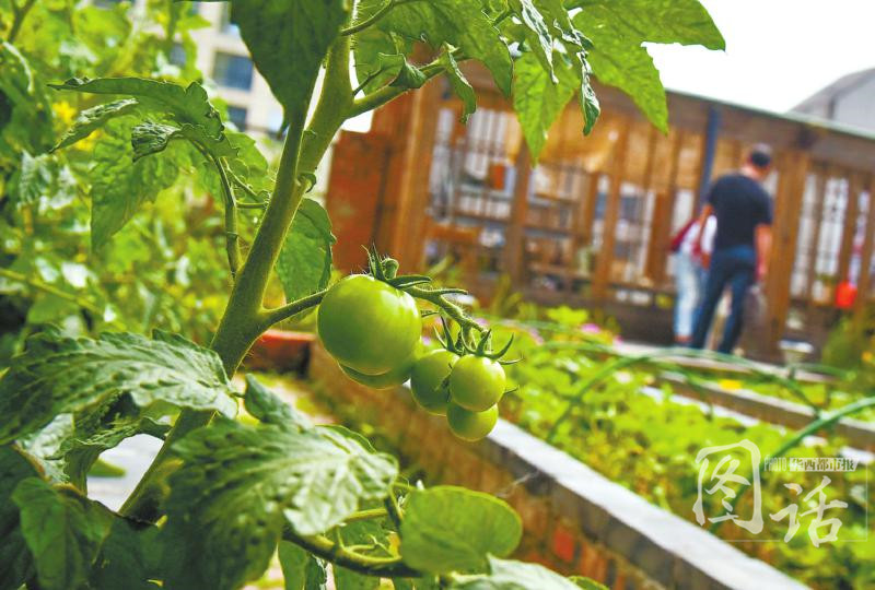 ‘熊猫体育公司’蒙面唱将猜猜猜背包客是谁?宫廷背包客是周深吗?(图1) 熊猫体育公司