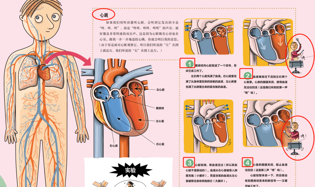 儿童百科全书那么多 为什么我只推荐这三套‘熊猫体育公司’(图24) 儿童百科全书那么多 为什么我只推荐这三套‘熊猫体育公司’(图24)