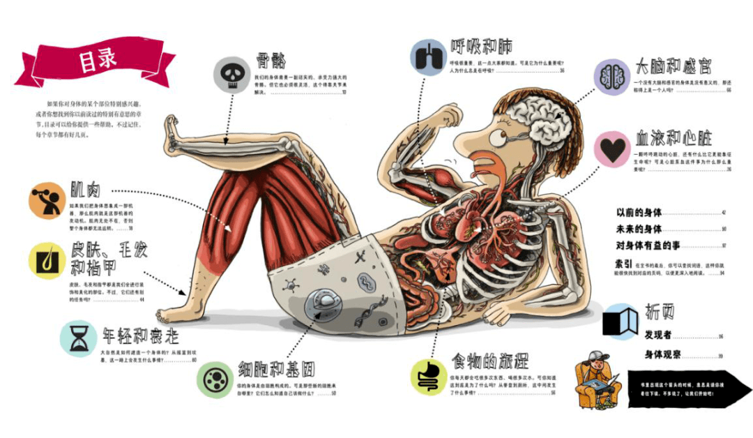 儿童百科全书那么多 为什么我只推荐这三套‘熊猫体育公司’(图27) 儿童百科全书那么多 为什么我只推荐这三套‘熊猫体育公司’(图27)
