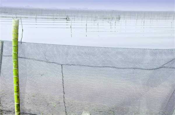 台媒替蔡英文挡子弹最高可获500万 台网友:不值“熊猫体育公司”(图1) 熊猫体育首页