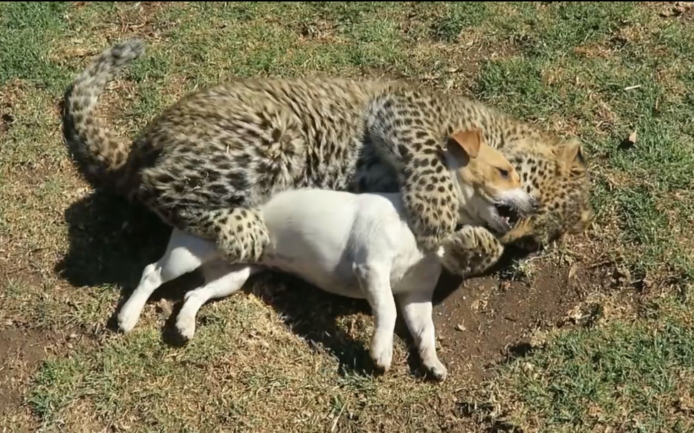 一连4天后 解放军再入台西南空域 台媒称:“泛起不明信号”‘熊猫体育公司’(图1) 熊猫体育