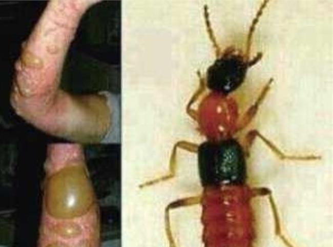 跨界歌王第二季歌王是谁 跨界歌王2歌王江珊歌单盘点【熊猫体育首页】(图2) 熊猫体育