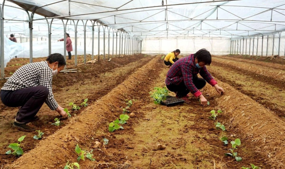 【熊猫体育】
《演员请就位2》胡杏儿夺冠 保留了节目最后的体面(图2) 熊猫体育