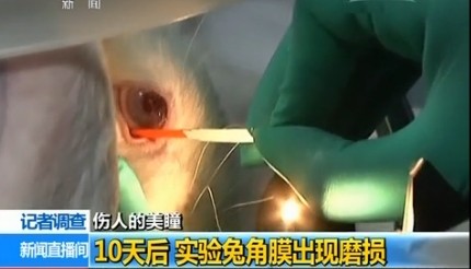 【熊猫体育】
《演员请就位2》胡杏儿夺冠 保留了节目最后的体面(图1) 熊猫体育首页